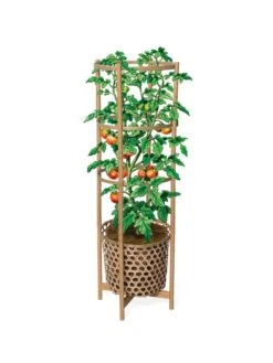 Elevated Bamboo Tomato Planter And Trellis -Plants And Accessories Shop 8613502 art flat
