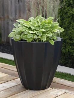 Sedona Round Planter, 18" Diameter 11 Sedona Round Planter, 18" Diameter -Plants And Accessories Shop 8613526 01V