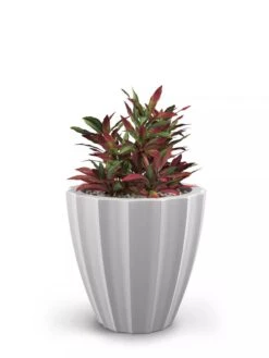 Sedona Round Planter, 18" Diameter 13 Sedona Round Planter, 18" Diameter -Plants And Accessories Shop 8613526 05V
