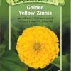 Golden Yellow Zinnia Organic Seeds -Plants And Accessories Shop 8613628 01v golden yellow zinnia seeds