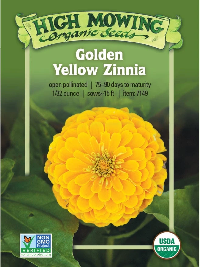 Golden Yellow Zinnia Organic Seeds 3 Golden Yellow Zinnia Organic Seeds