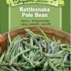 Rattlesnake Pole Bean Organic Seeds 2 Rattlesnake Pole Bean Organic Seeds -Plants And Accessories Shop 8613650 01v rattlesnake pole bean