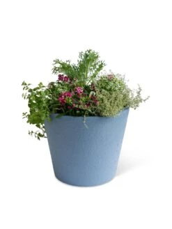 Self-Watering FiberStone Planters 19 Self-Watering FiberStone Planters -Plants And Accessories Shop 8613675 8660