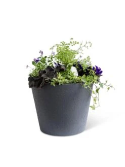 Self-Watering FiberStone Planters 20 Self-Watering FiberStone Planters -Plants And Accessories Shop 8613676 8645