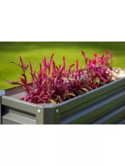 Metal Double Height Raised Garden Bed -Plants And Accessories Shop 8613688 03V 3 4