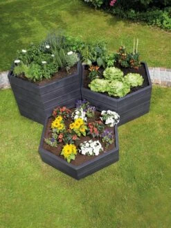 Modular Hexagon Raised Bed Kit, 28.5" -Plants And Accessories Shop 8614244 04V 1