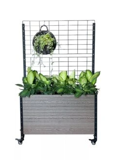 Mobile Deep Trough Planter With Trellis -Plants And Accessories Shop 8614265 03V