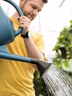 French Blue Watering Can 14 French Blue Watering Can -Plants And Accessories Shop ChrisAhrensSquare 0118 tif