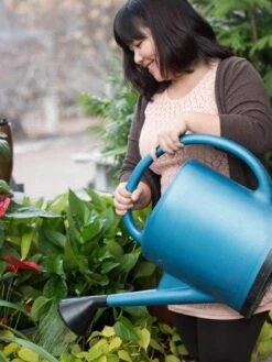 French Blue Watering Can 15 French Blue Watering Can -Plants And Accessories Shop EmilyHoangSquare 0151 tif