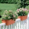 2' X 4' Railing Planter, 25" -Plants And Accessories Shop GS34336 01 24 inch 2x6 railing planters
