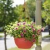 Self-Watering Hanging Basket -Plants And Accessories Shop GS34368 10 tif