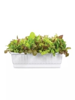 31" Self-Watering Window Box 7 31" Self-Watering Window Box -Plants And Accessories Shop GS36523 01Z 3 4