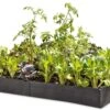 Grow Bed Extension Kit 2 Grow Bed Extension Kit -Plants And Accessories Shop GS37503 01 tif