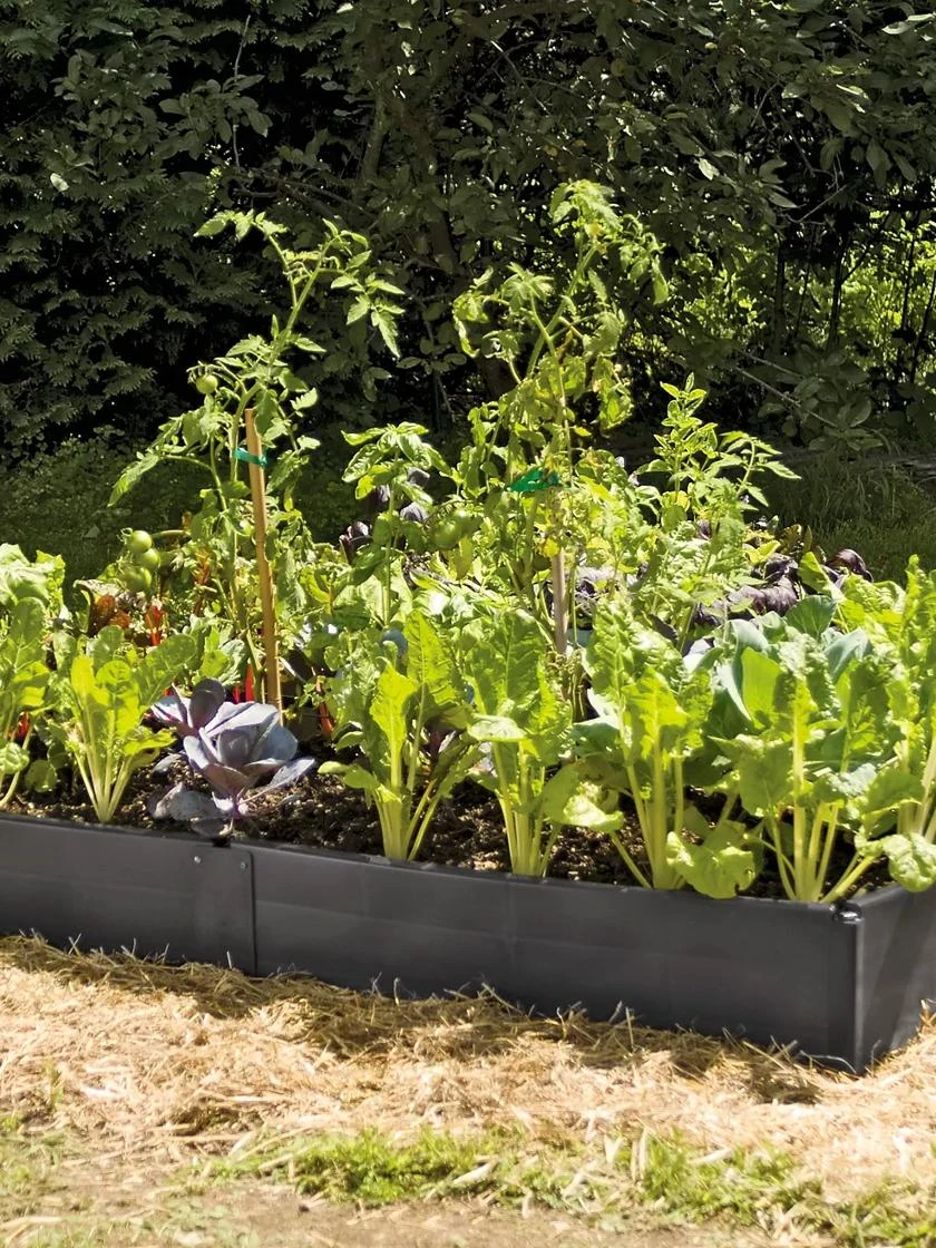 Grow Bed Extension Kit 4 Grow Bed Extension Kit - Image 2