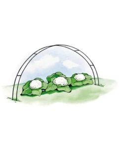 Super Hoops, Set Of 6 10 Super Hoops, Set Of 6 -Plants And Accessories Shop GS39423 02S 3 4