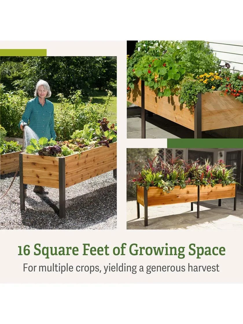 Self-Watering Elevated Planter Box, 2' X 8' 5 Self-Watering Elevated Planter Box, 2' X 8' - Image 3