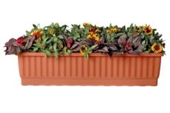 39" Self-Watering Window Box 9 39" Self-Watering Window Box -Plants And Accessories Shop gs34497 01s