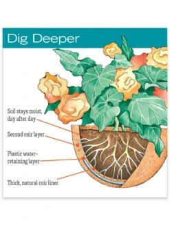 AquaSav™ Replacement Liners, Set Of 3 8 AquaSav™ Replacement Liners, Set Of 3 -Plants And Accessories Shop hiw 38 583