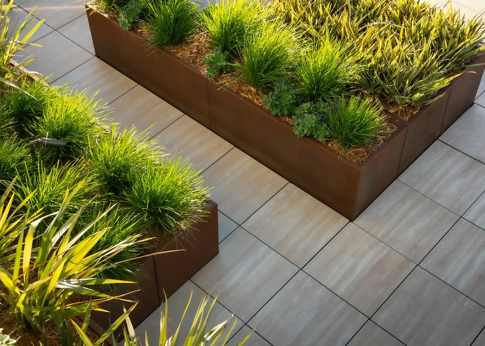 Front Page -Plants And Accessories Shop PRINT 2020 09 22 Modera 390 1st St 771